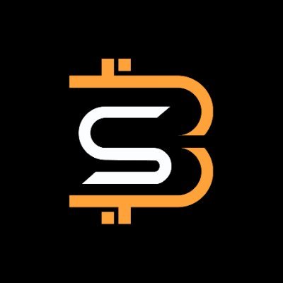 Bitsnap Logo